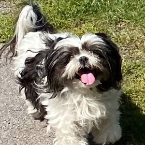 Meet your Posher, Deborah